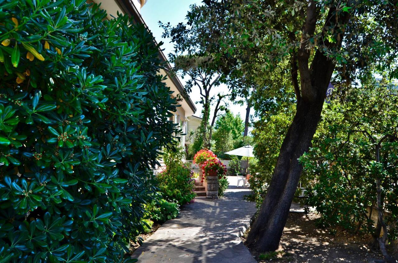 Hotel Puccinelli Lido di Camaiore Kültér fotó