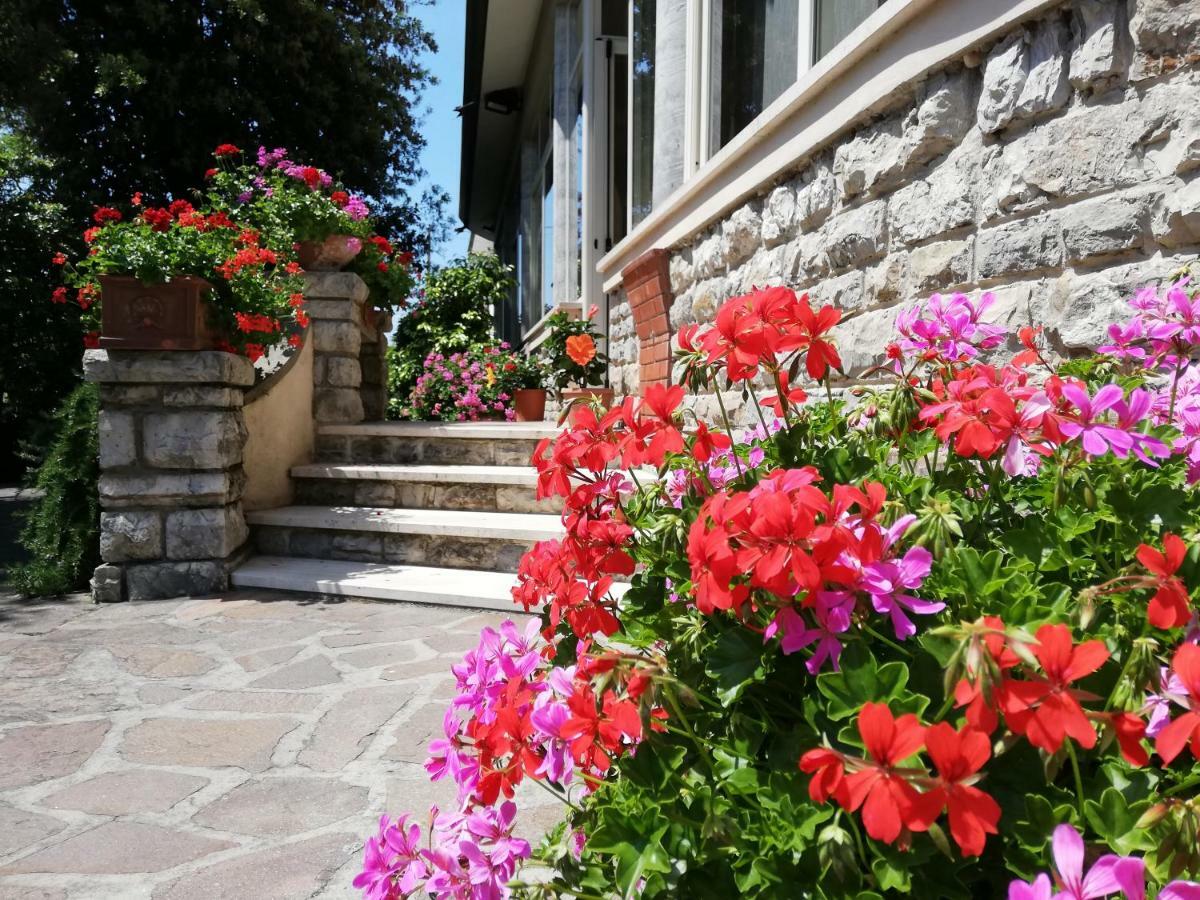 Hotel Puccinelli Lido di Camaiore Kültér fotó